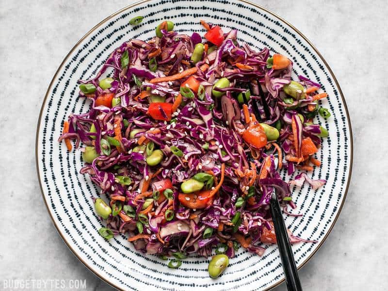 A full plate of Sesame Slaw on its own with a black fork. 