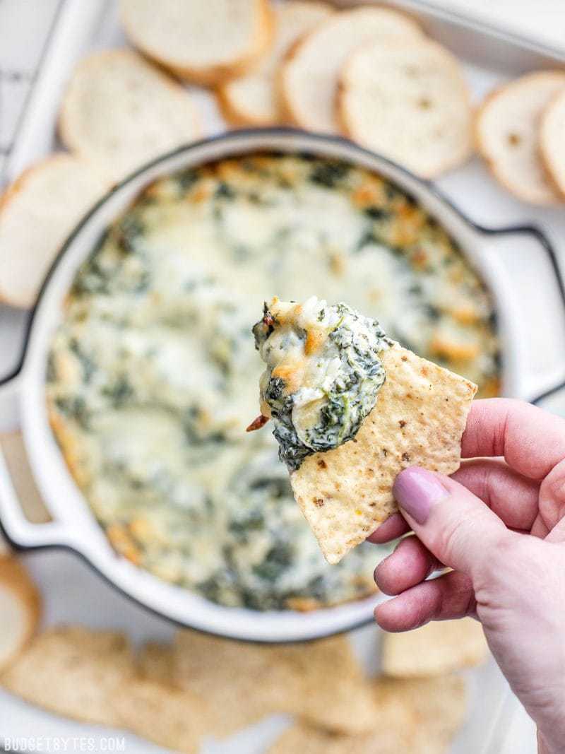 Close up of Double Spinach Artichoke Dip on a tortilla chip