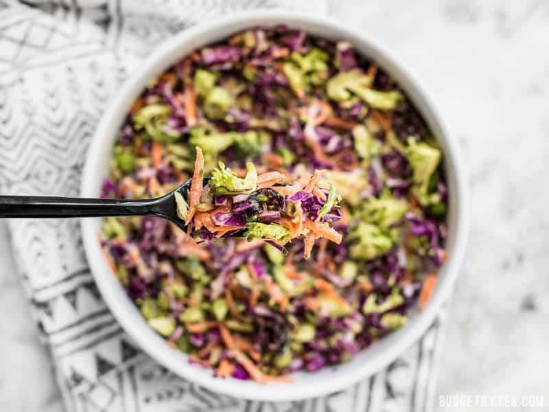 Close up of a forkful of Sweet Crunch Winter Salad with the bowl in the background