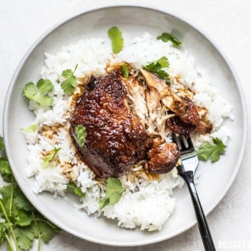 Pressure Cooker Chicken and Rice - Budget Bytes