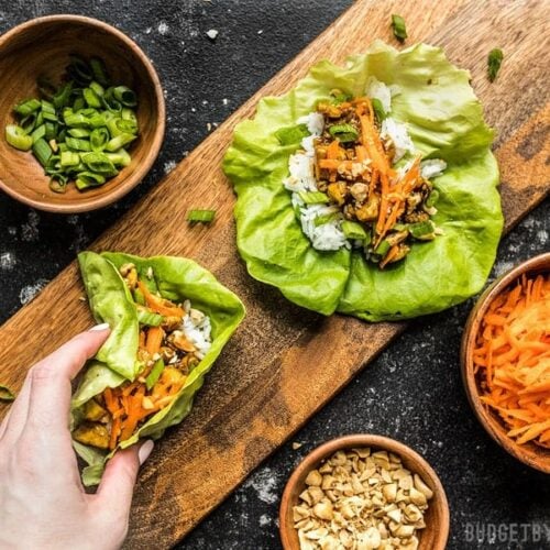 Skip the meat and make these light and fresh Hoisin Tofu Lettuce Cups, for a fast and easy weeknight dinner. Budgetbytes.com