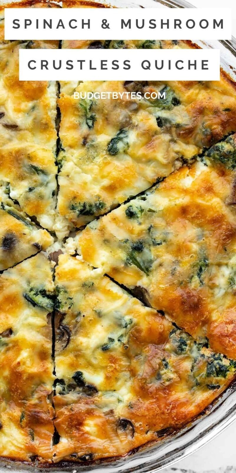 close up of spinach and mushroom crustless quiche