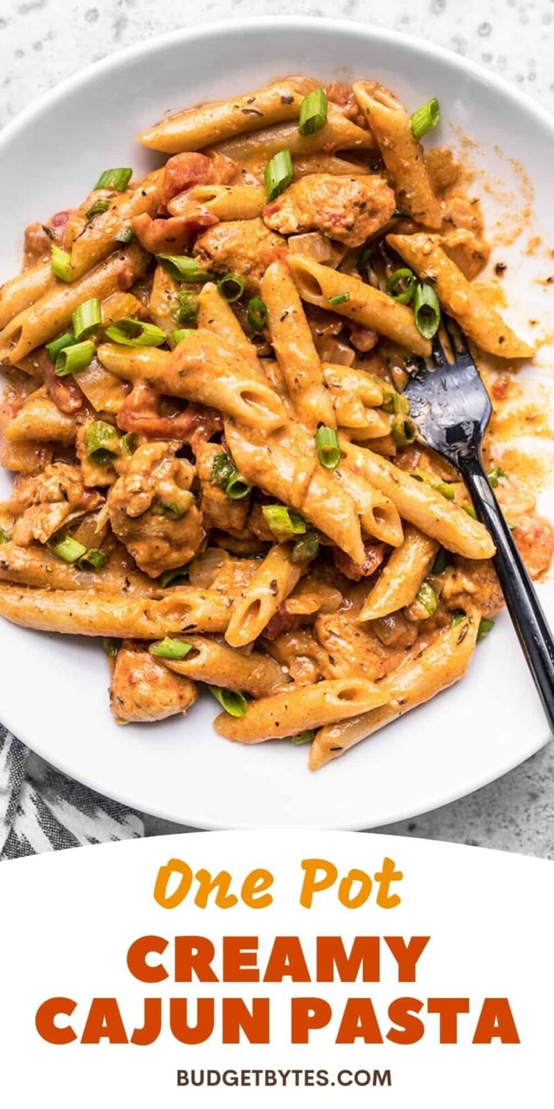 One Pot Creamy Cajun Chicken Pasta - VIRAL - Budget Bytes