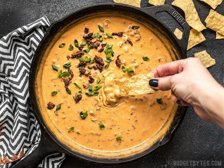 Spicy Chorizo Cheese Dip Budget Bytes