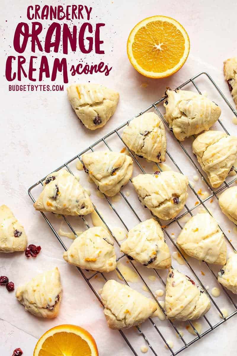 These incredibly easy cranberry orange cream scones stir together in minutes and make the most delicious little companion for your morning coffee. Budgetbytes.com