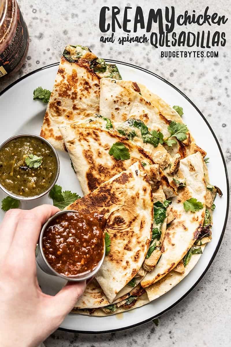 A hand pouring salsa onto a plate of creamy chicken and spinach quesadillas