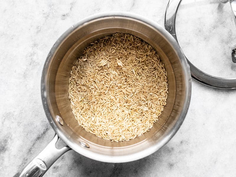 Uncooked Brown rice and water in sauce pot