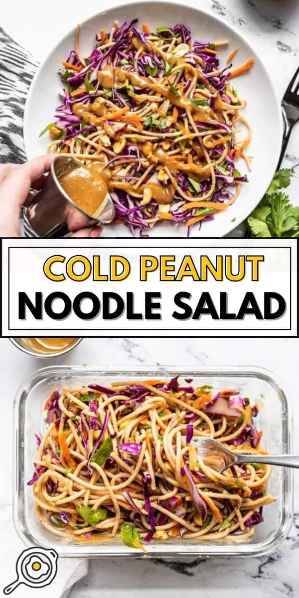 Cold Peanut Noodle Salad pin image
