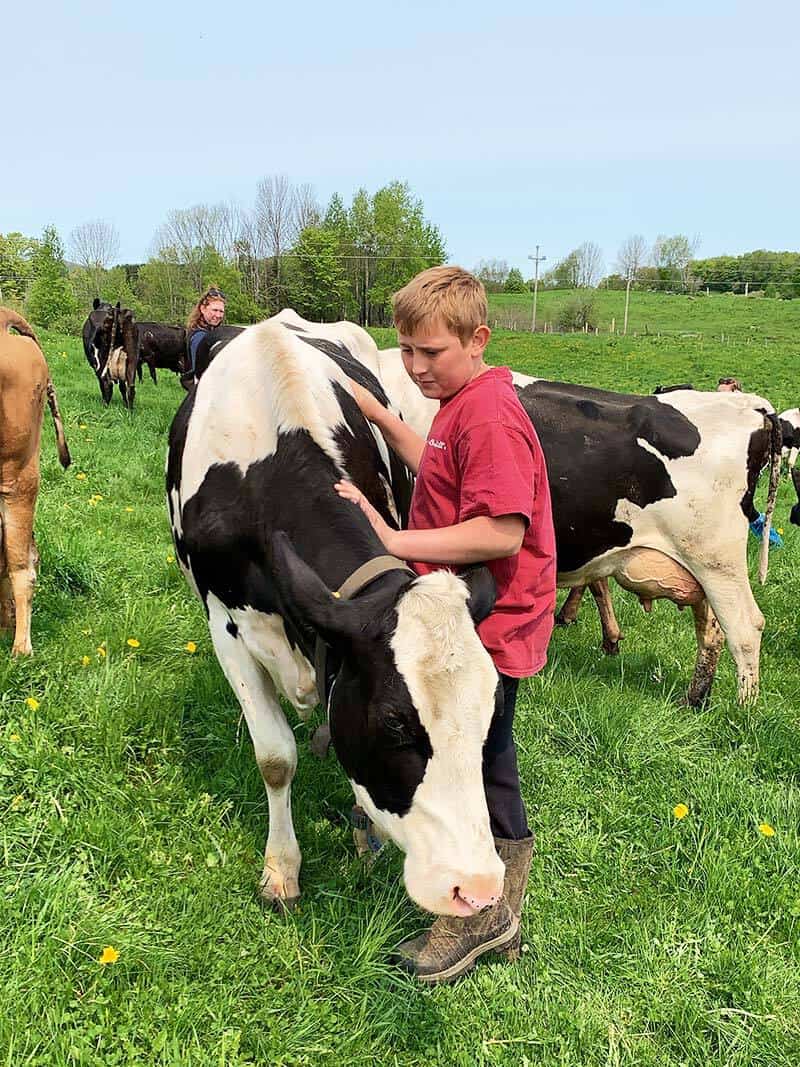 A young farm boy petting a cow in the pasture.