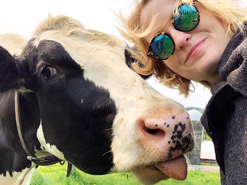 A cow going in for a kiss during a selfie on the farm.