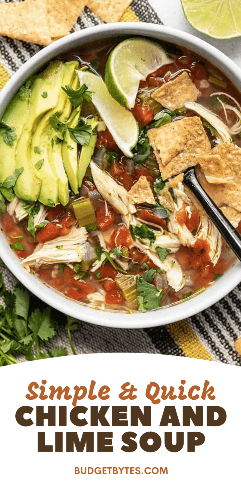 https://www.budgetbytes.com/wp-content/uploads/2019/08/Chicken-and-Lime-Soup-1-800x1600.png