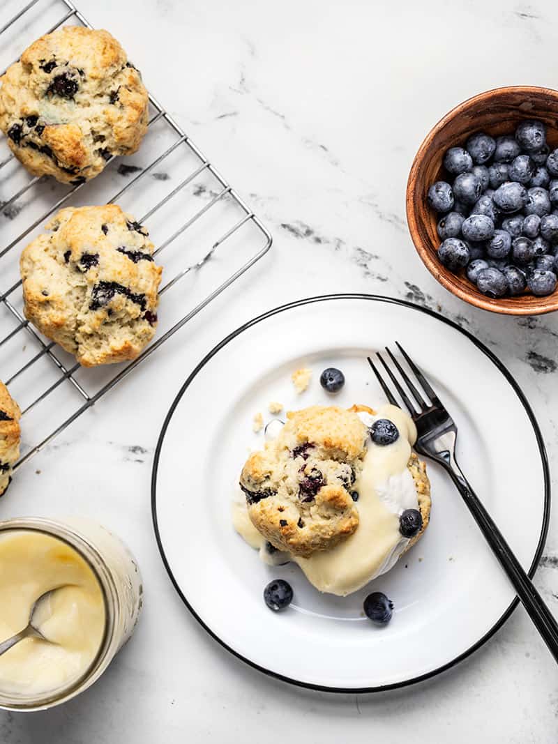 A Blueberry Lemon Curd Shortcake on a white plate with black fork surrounded by the ingredients