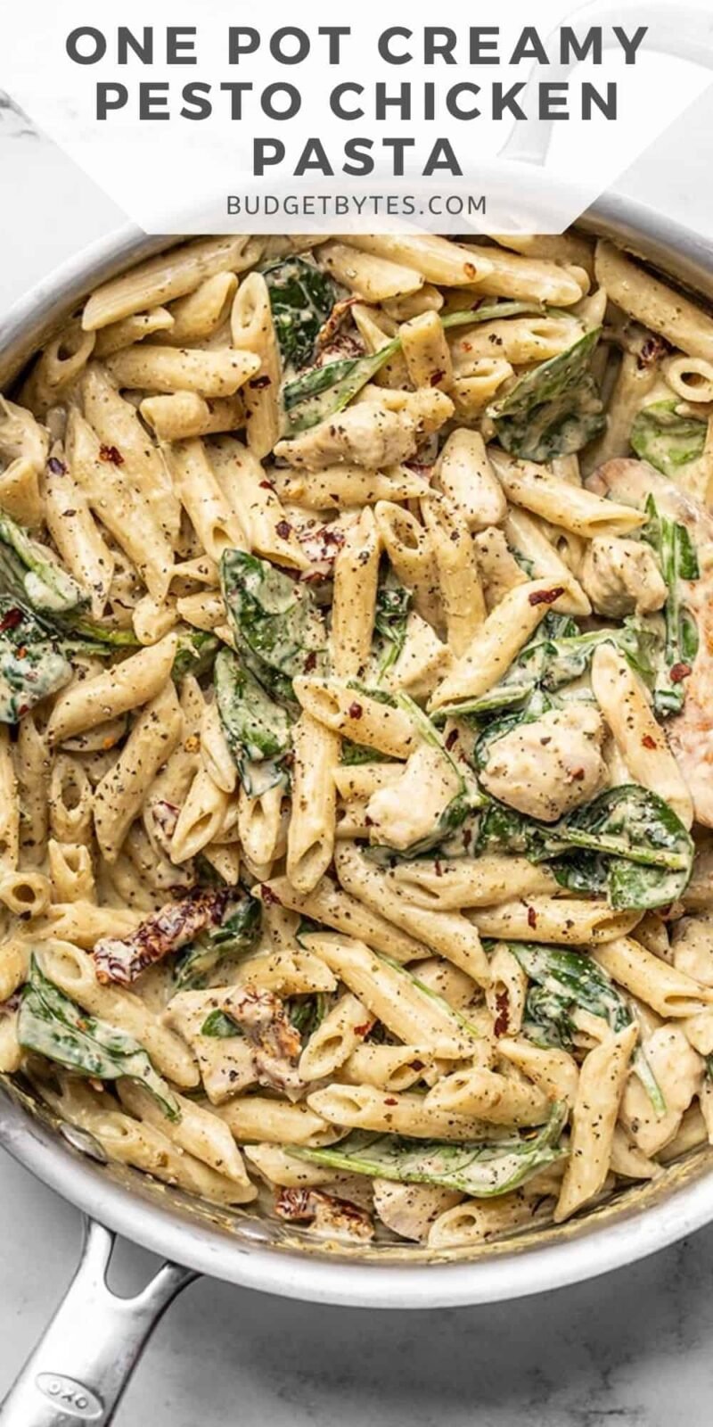 close up of creamy pesto chicken pasta in the skillet, title text at the top