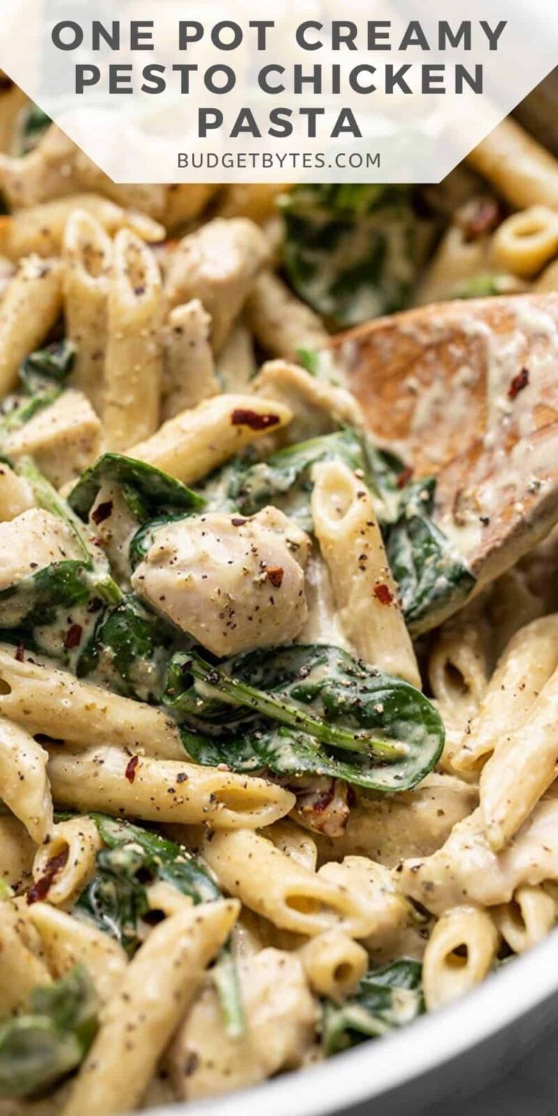 Close up of creamy pesto chicken pasta, title text at the top