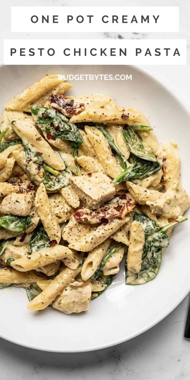 Close up of a bowl of creamy pesto chicken pasta, title text at the top