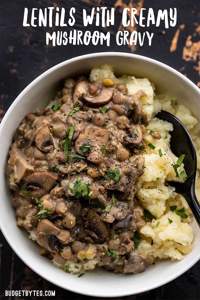 Overhead close up view of a bowl of lentils with creamy mushroom gravy served over mashed potatoes