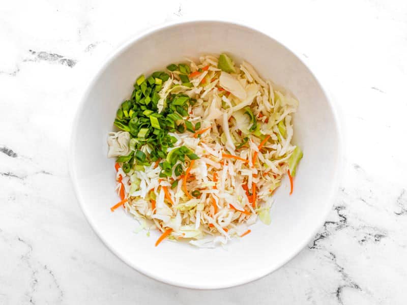 coleslaw mix and green onion in a bowl