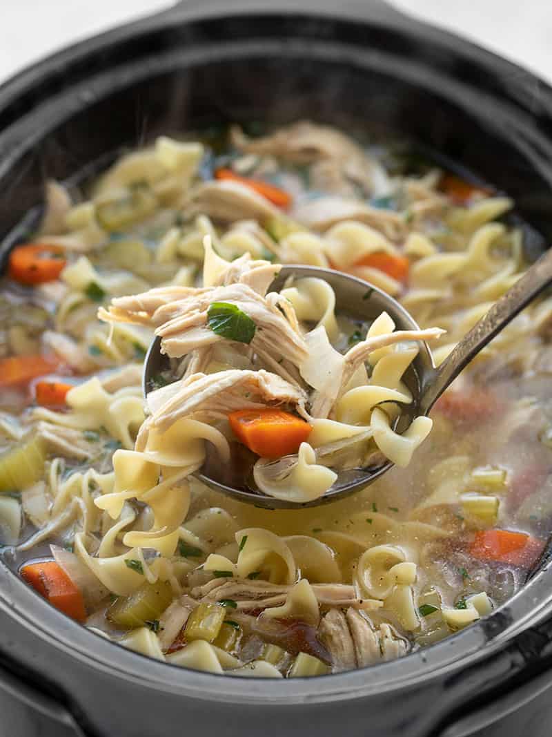 https://www.budgetbytes.com/wp-content/uploads/2020/01/Slow-Cooker-Chicken-Noodle-Soup-V1-ladle.jpg