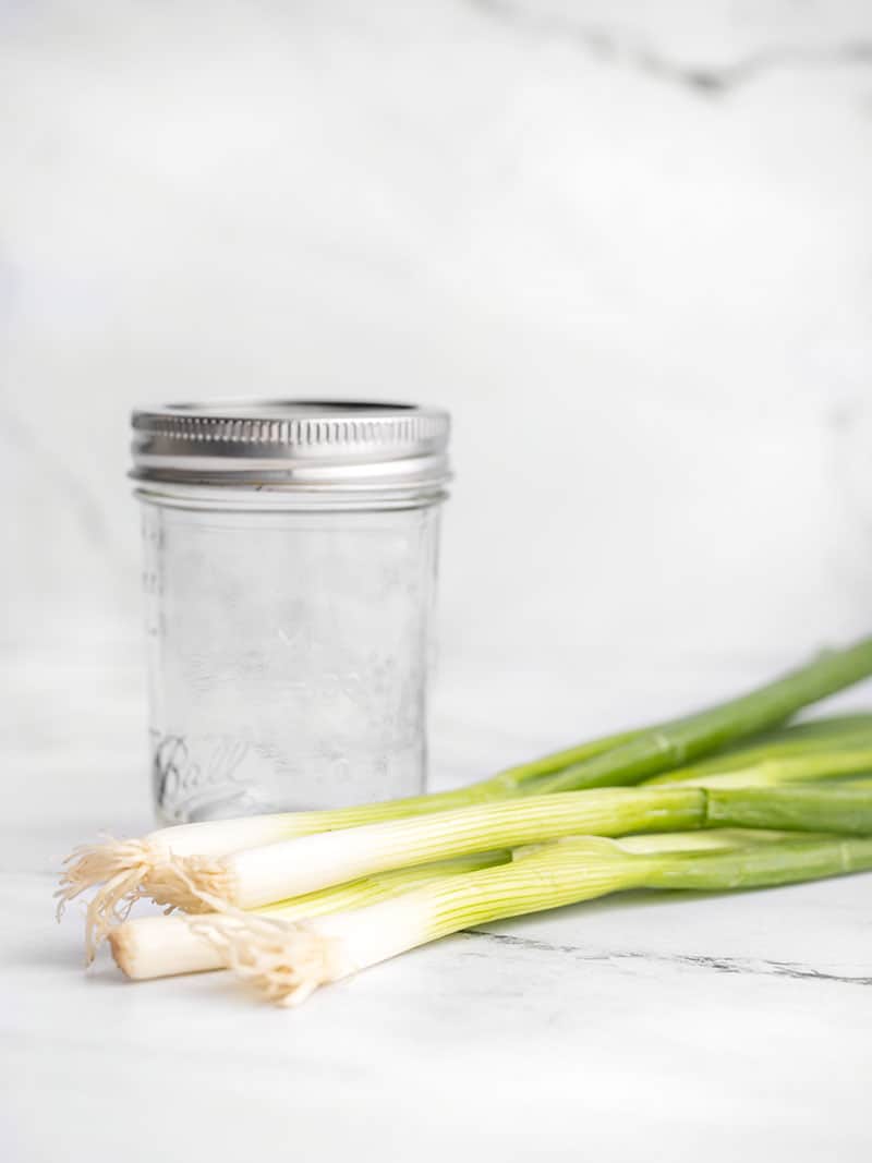 Fresh green onions laying in front of a small mason jar