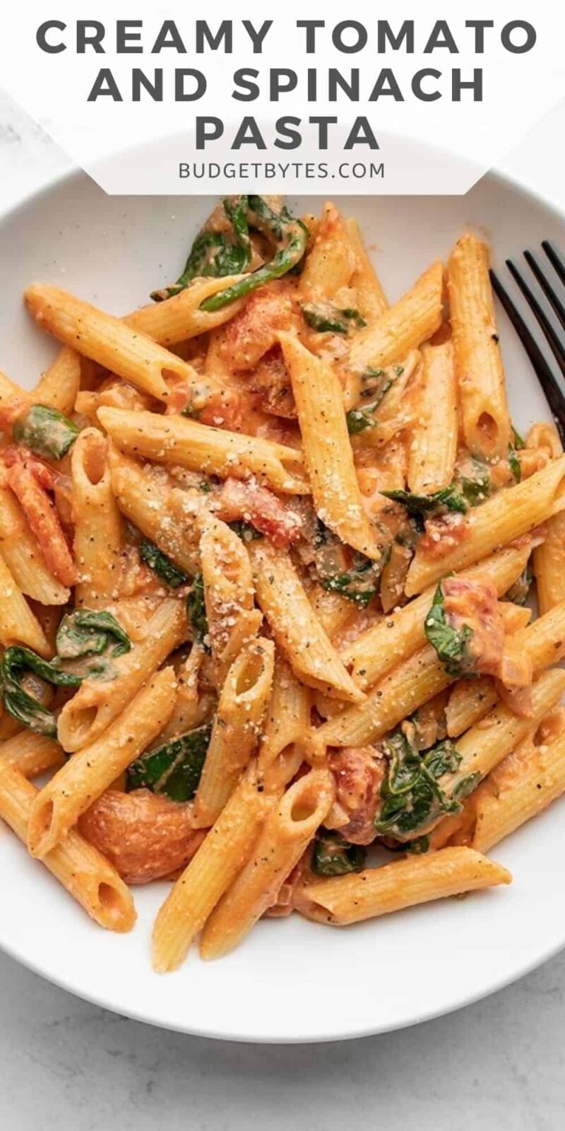 creamy tomato pasta in a bowl, title text at the top