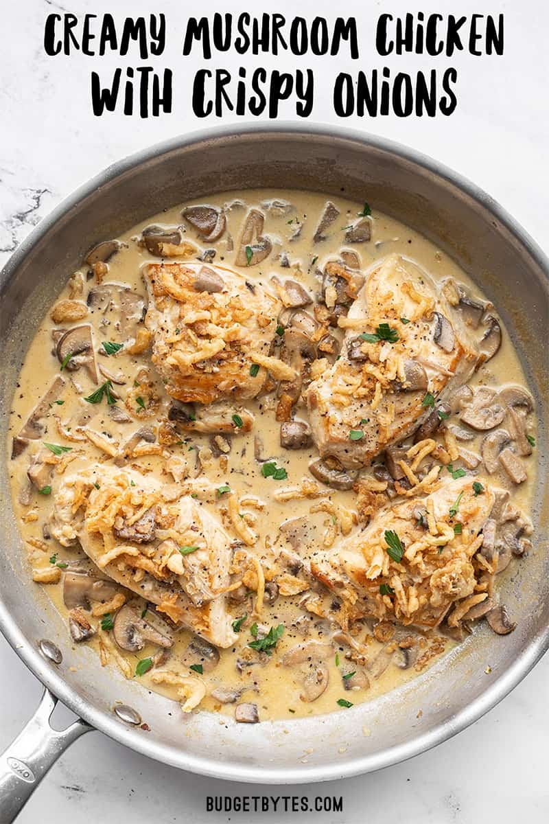 Overhead of Creamy Mushroom Chicken in the skillet, title text at the top