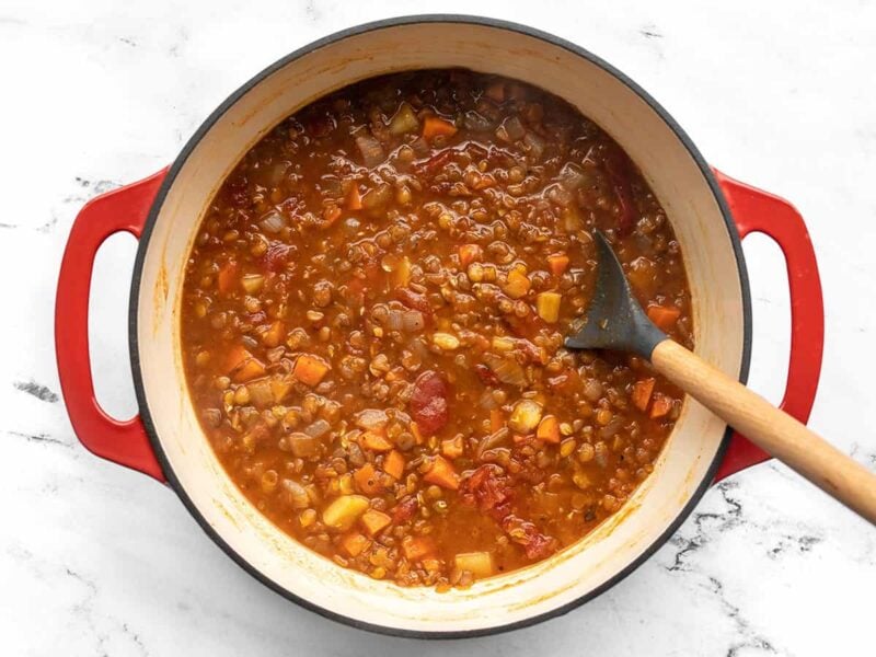 Finished tomato lentil soup