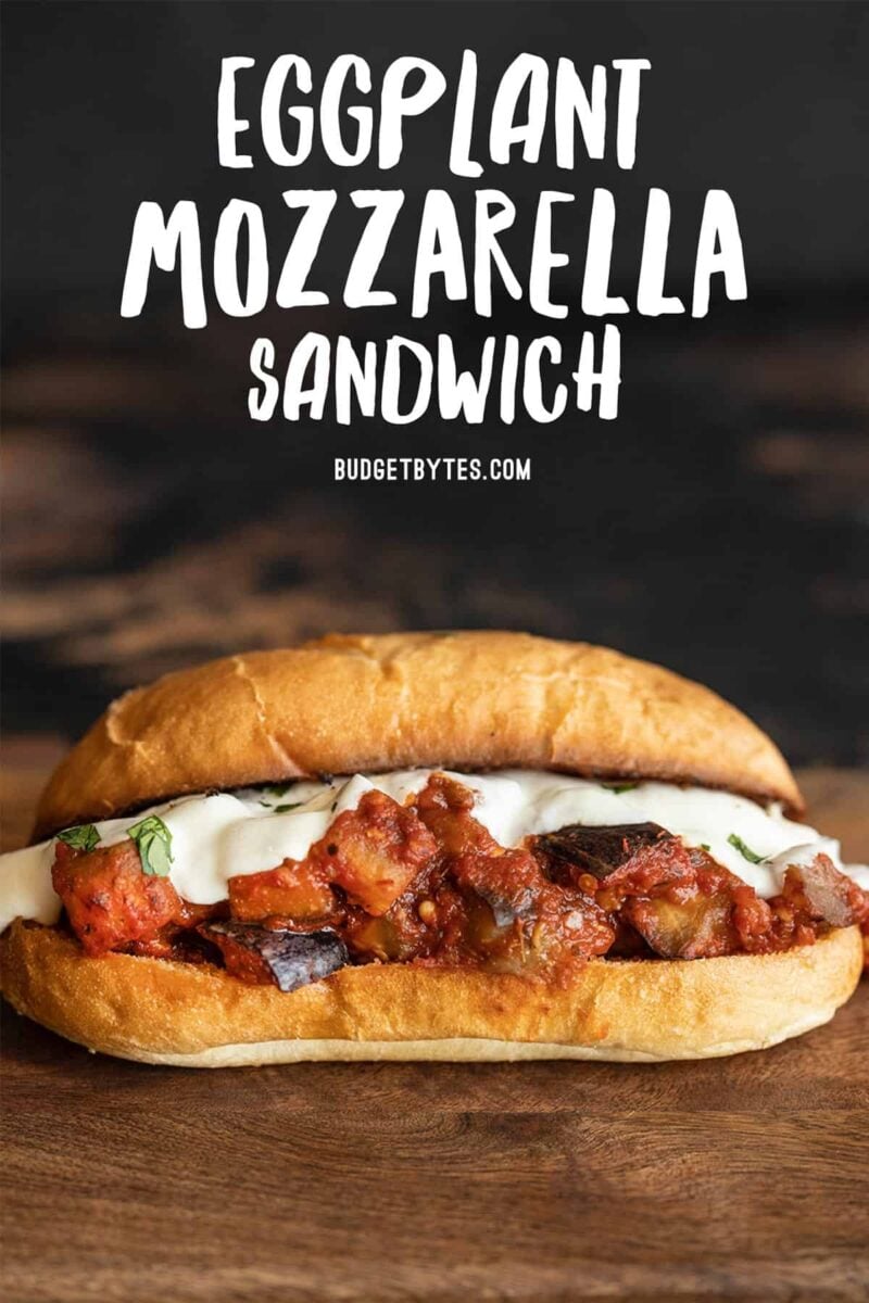 One single eggplant mozzarella sandwich, title text at the top