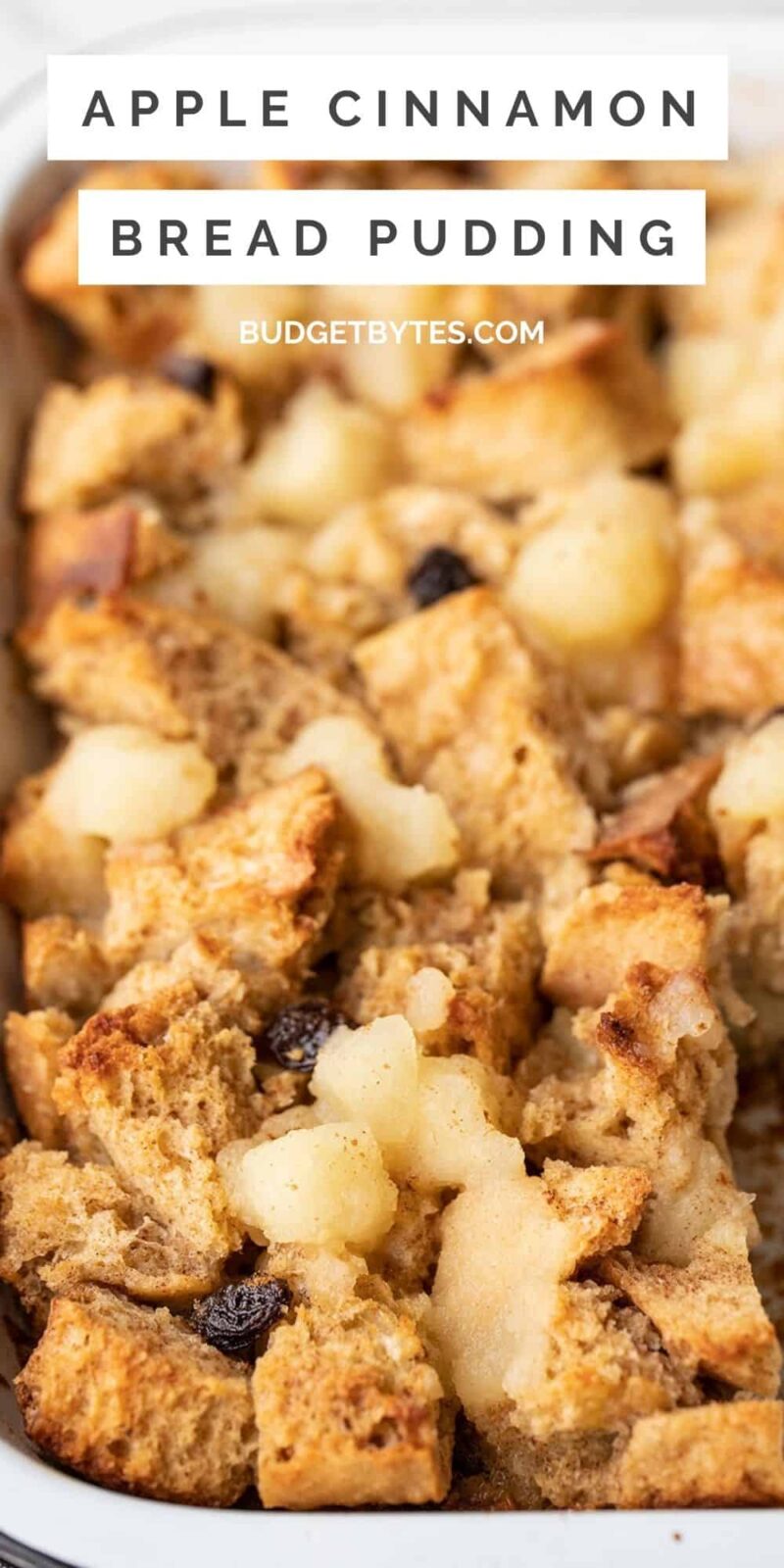 Close up side view of apple cinnamon bread pudding with title text at the top
