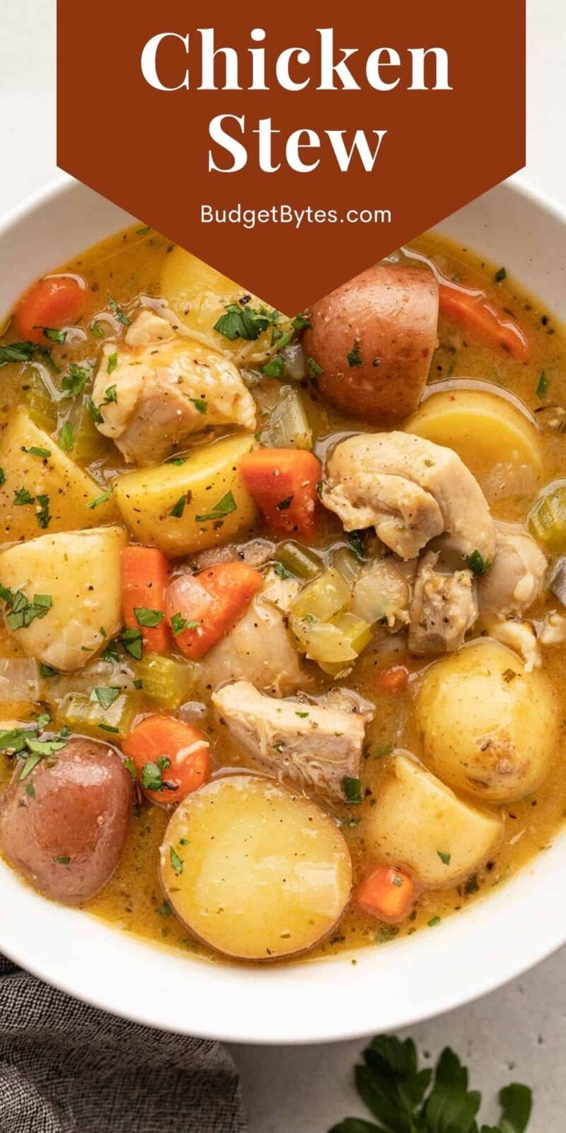 close up of a bowl of chicken stew with title text at the top