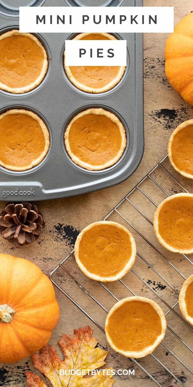 mini pumpkin pies in the muffin tin and cooling rack, title text at the top