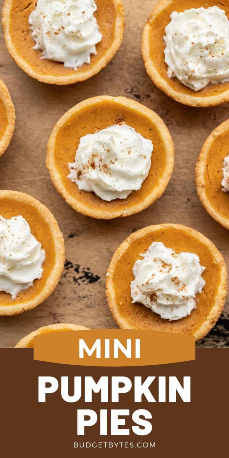 Close up of mini pumpkin pies with whipped cream, title text at the bottom