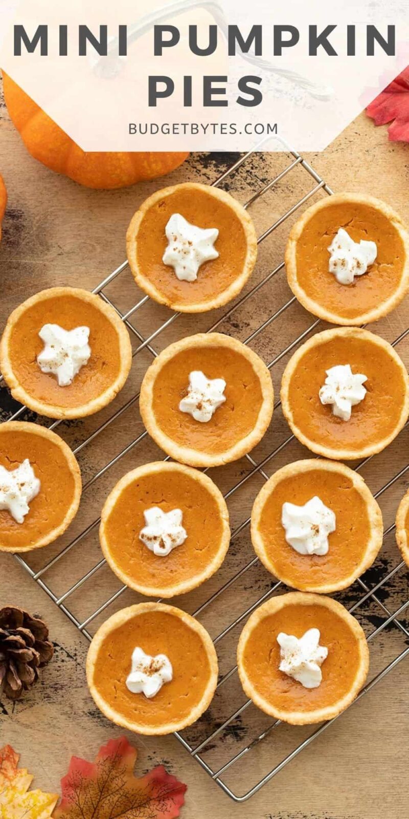 Overhead view of mini pumpkin pies on a cooling rack, title text at the top