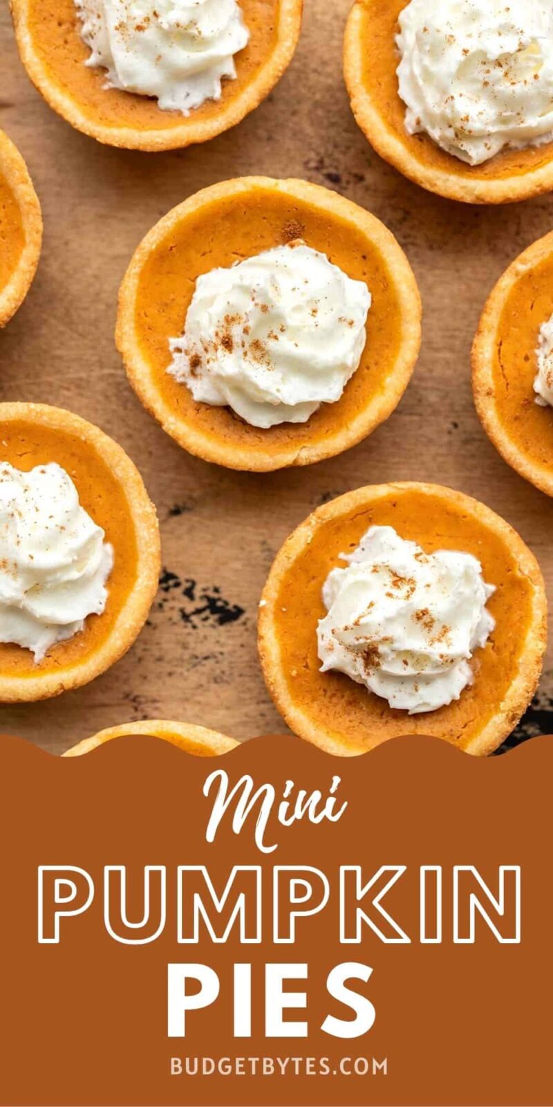 overhead view of mini pumpkin pies with title text at the bottom