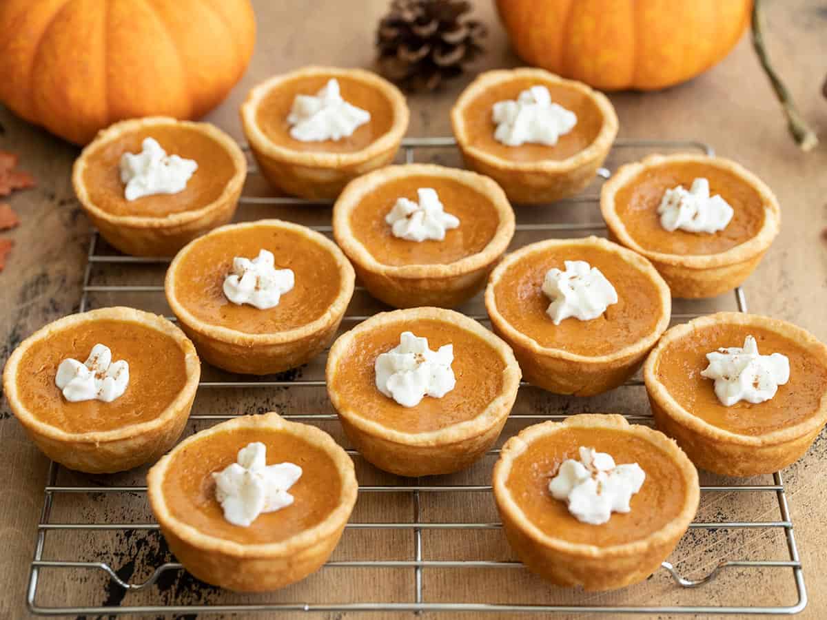 Side view of whipped cream topped mini pumpkin pies on a cooling rack