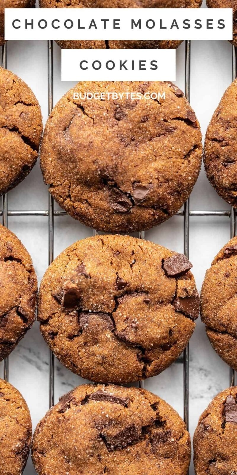 close up of chocolate molasses cookies on a cooling rack, title text at the top