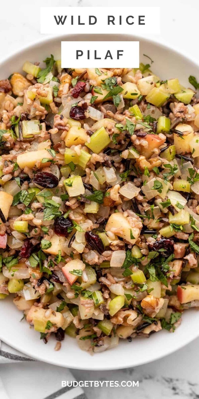 close up of wild rice pilaf in a bowl, title text at the top