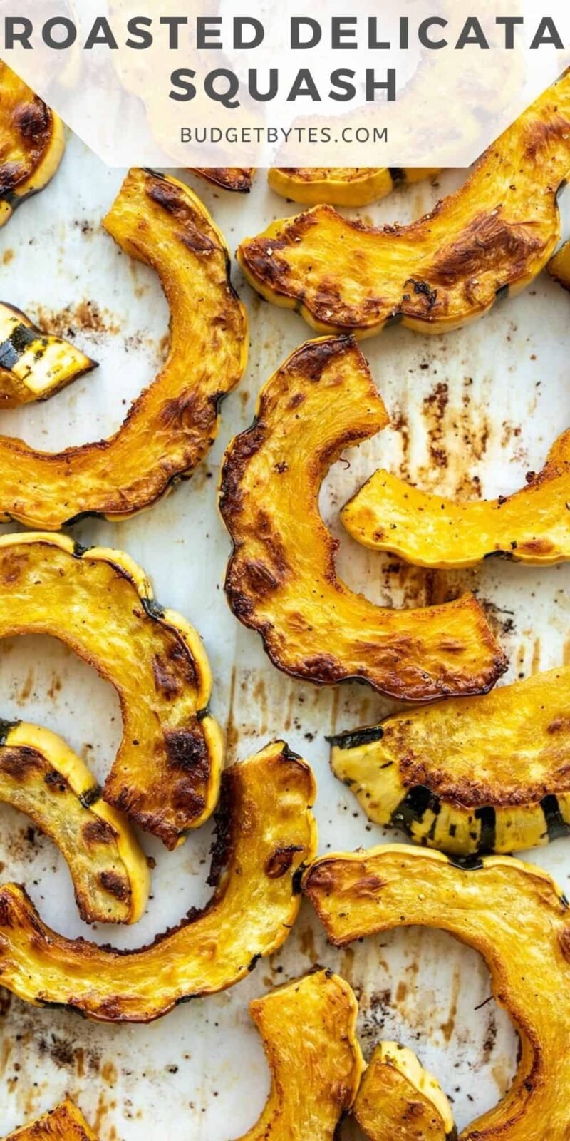 close up of roasted delicata squash with title text at the top