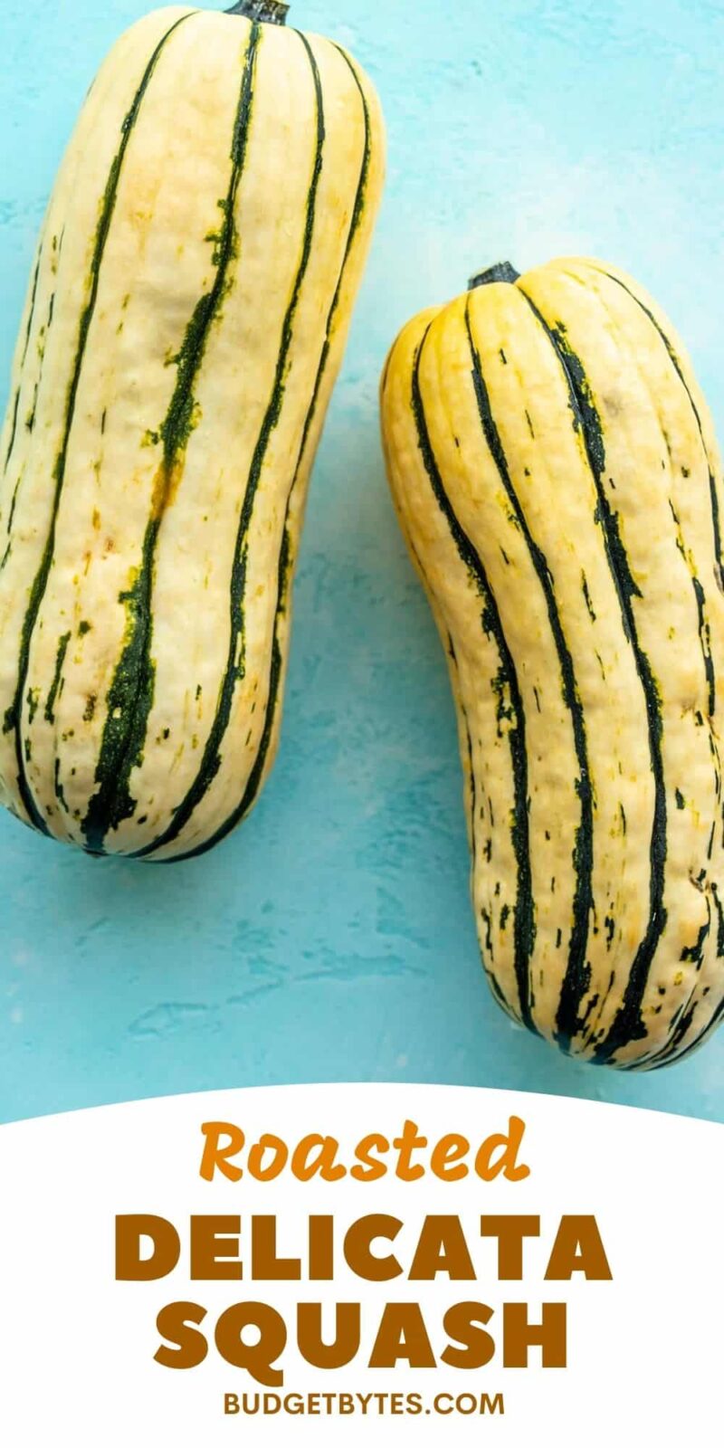 two whole delicata squashes on a blue background