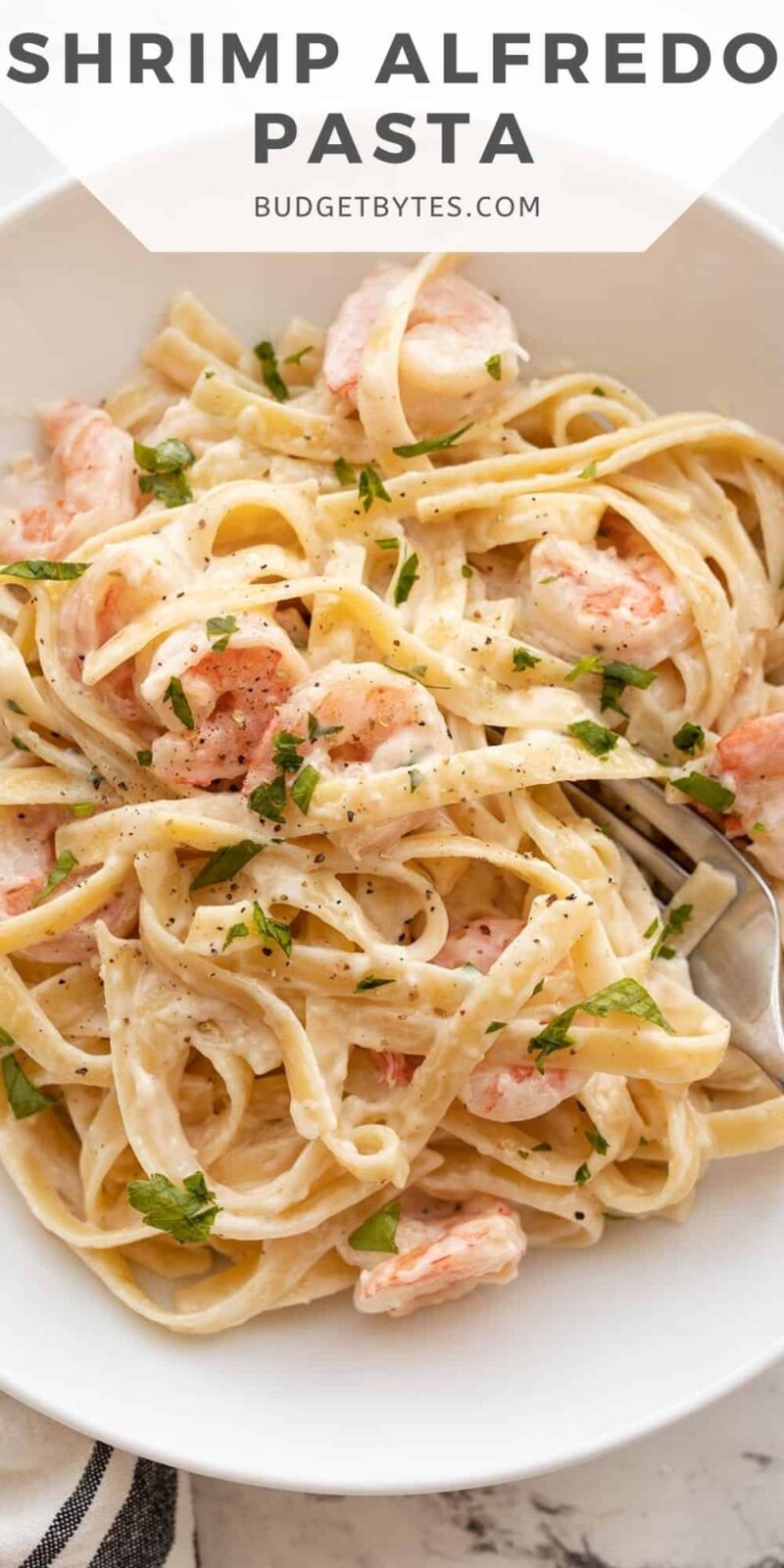 close up of shrimp alfredo pasta in a bowl, title text at the top