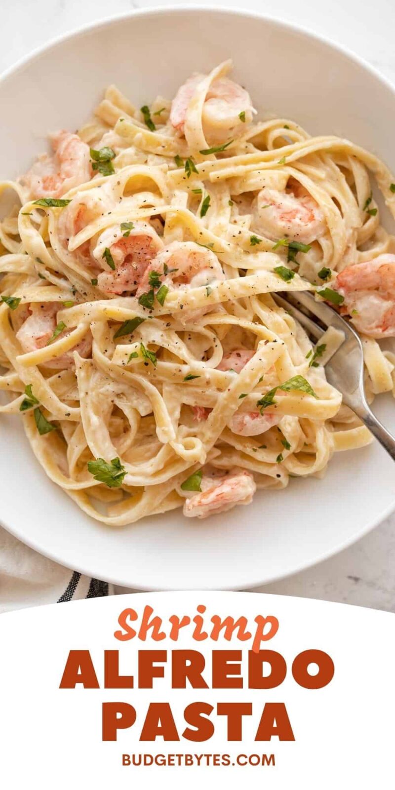 overhead view of a bowl of shrimp alfredo pasta, title text at the bottom