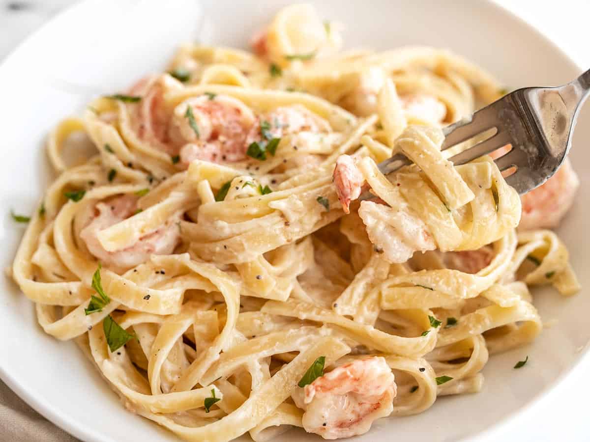 Close up of a bowl full of shrimp alfredo pasta with a fork