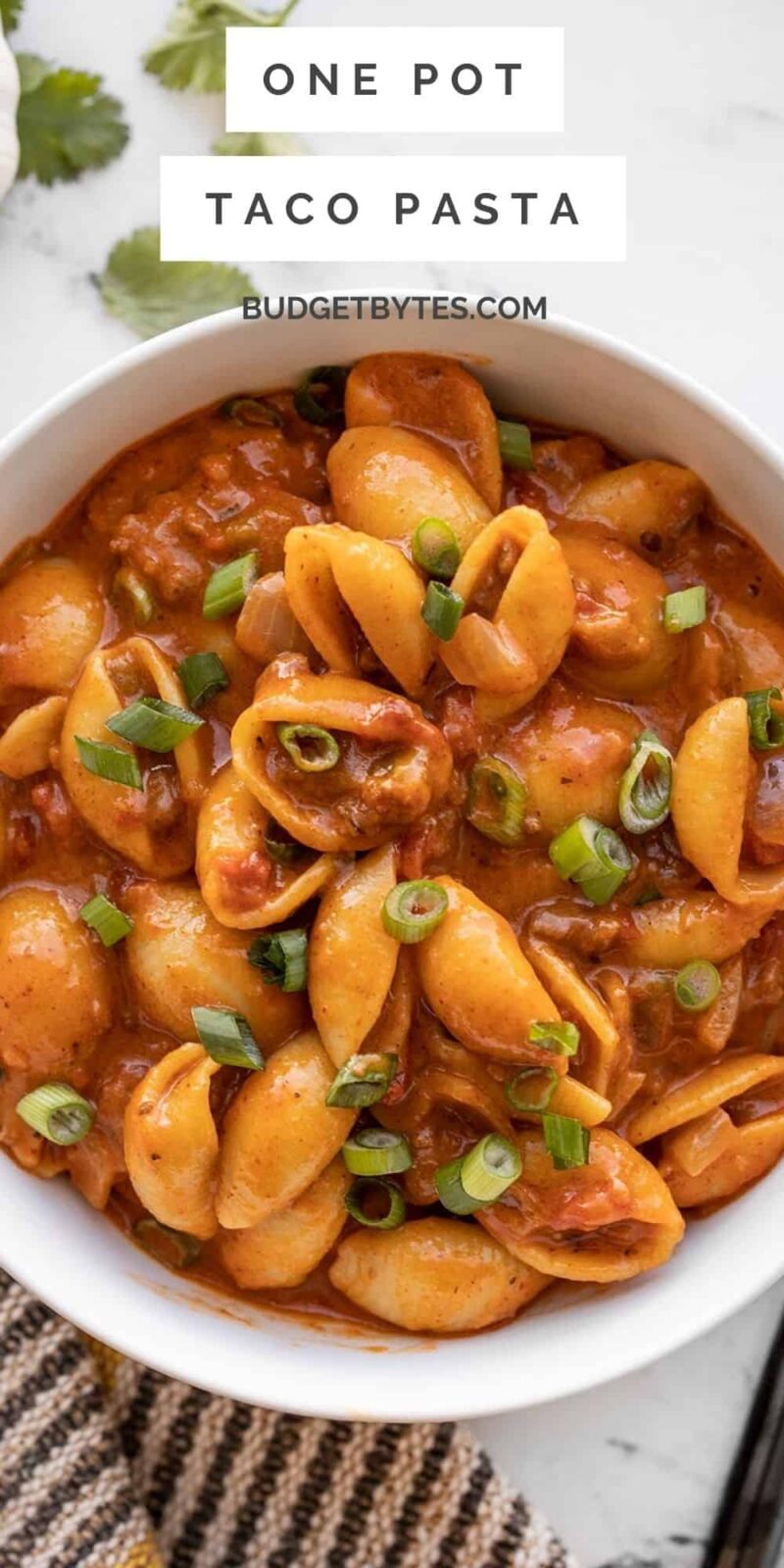 Fast and Easy One Pot Recipes - Budget Bytes