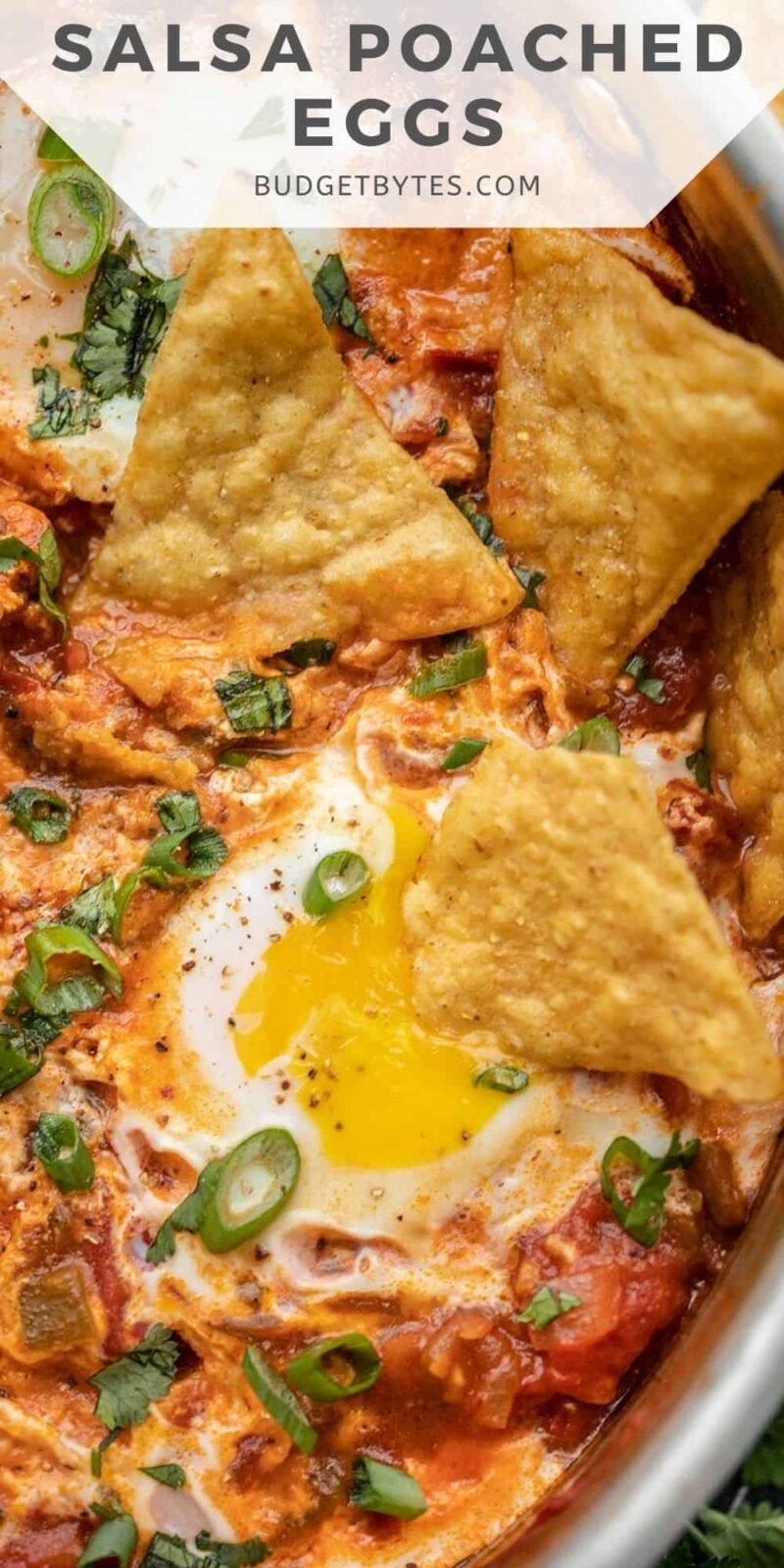 close up of a tortilla chip being dipped into a liquid yolk, title text at the top.