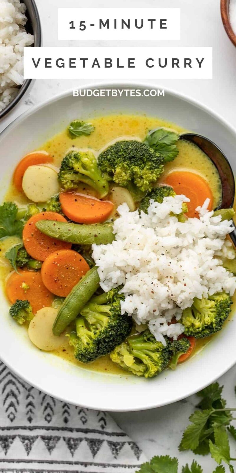 overhead view of a bowl of vegetable curry with rice