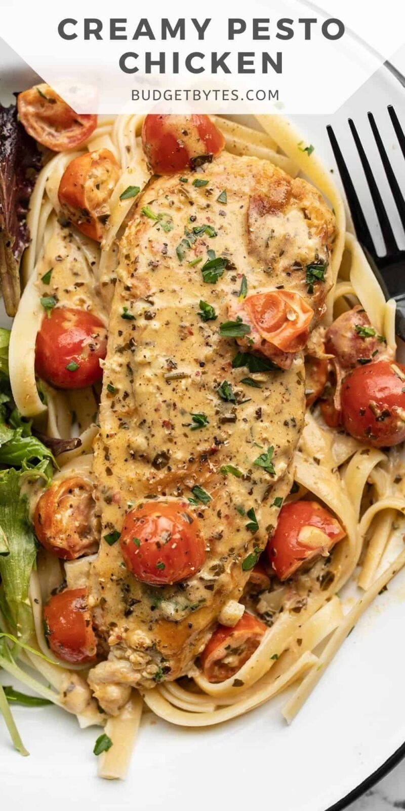 Close up of creamy pesto chicken on a plate with pasta and salad.