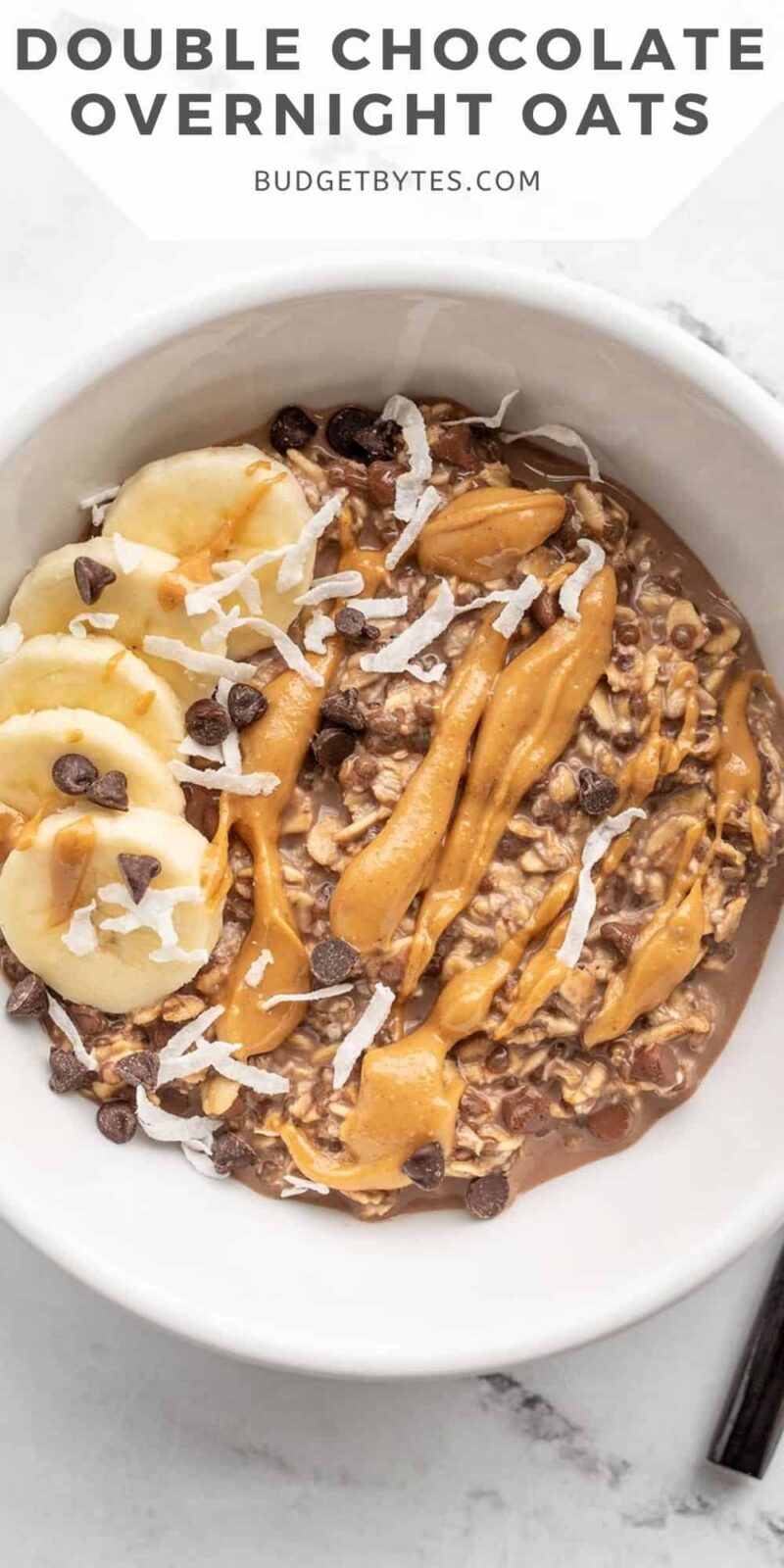 Overhead view of a bowl of chocolate overnight oats with toppings