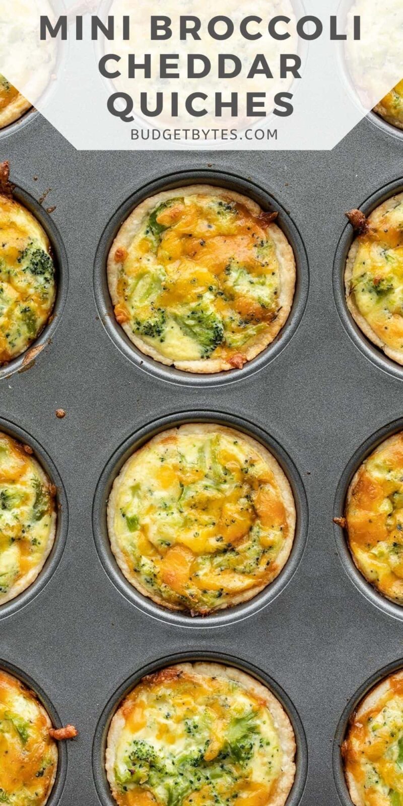 Overhead view of mini broccoli cheddar quiches in the muffin tin.