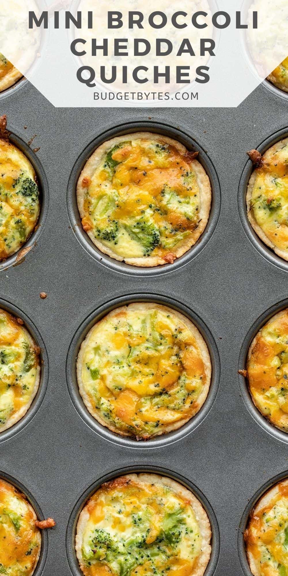 Mini Broccoli Cheddar Quiches - Image 3
