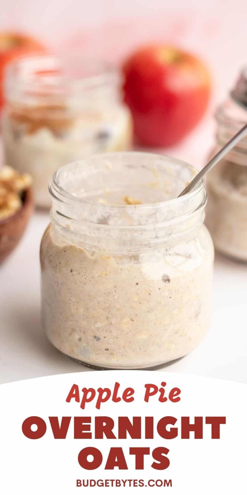 https://www.budgetbytes.com/wp-content/uploads/2022/04/Apple-Pie-Overnight-Oats-PIN1-800x1600.jpg