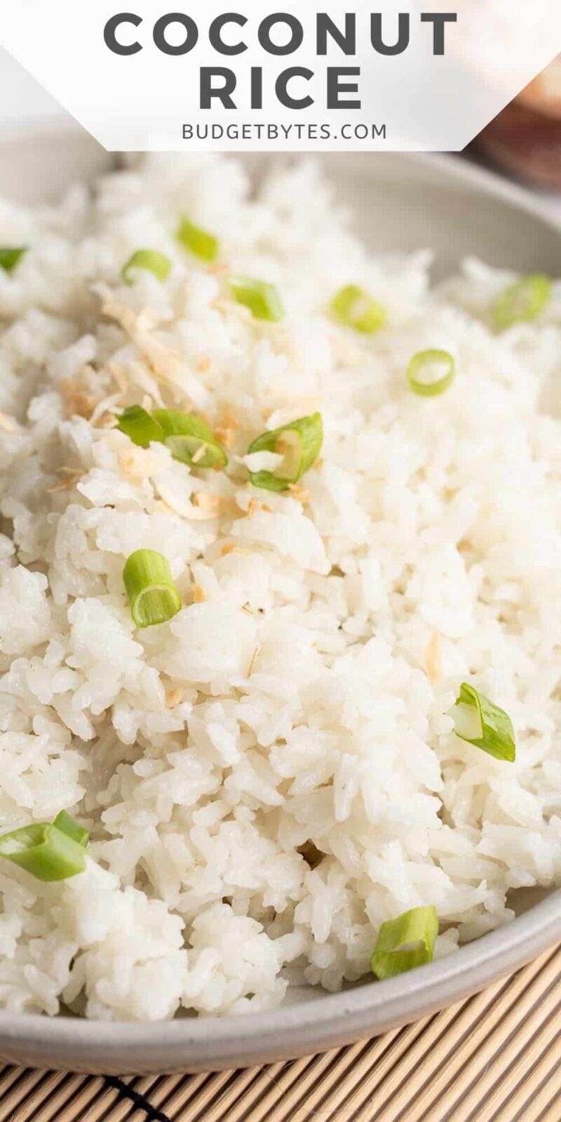 Close up side view of a bowl of coconut rice.